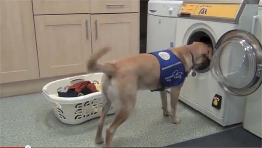 Washing machine for disabled people turns on when your dog BARKS